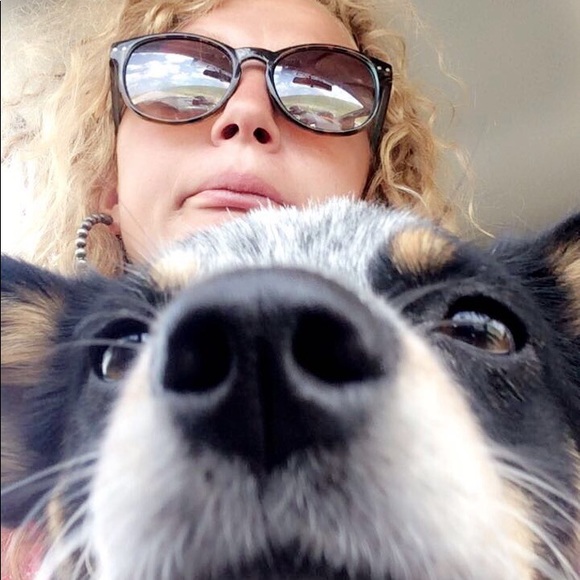 Meet your Posher, Logan - Picture 1 of 1